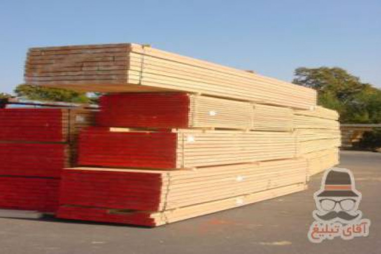 واردکننده انواع چوب نراد روسی