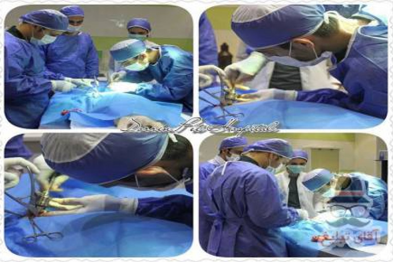 جراحی ارتوپدی حیوانات دامپزشکی درین
