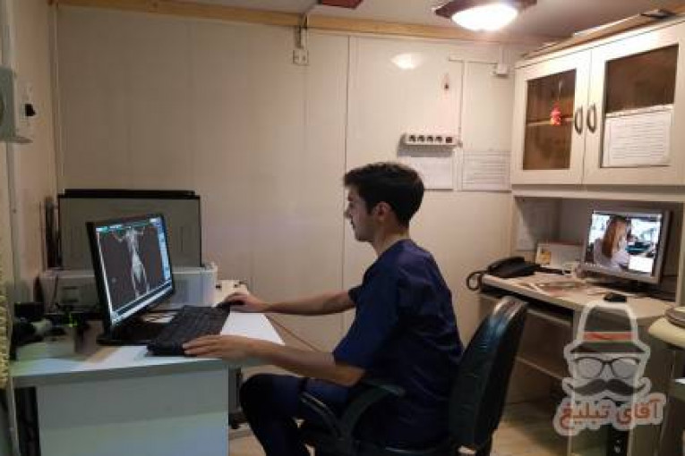 رادیولوژی سونوگرافی دامپزشکی درین