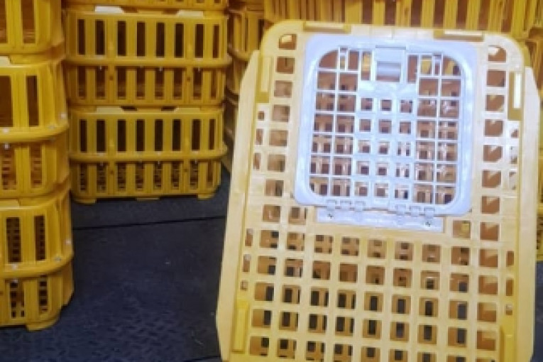 قفس پلاستیکی حمل مرغ زنده
