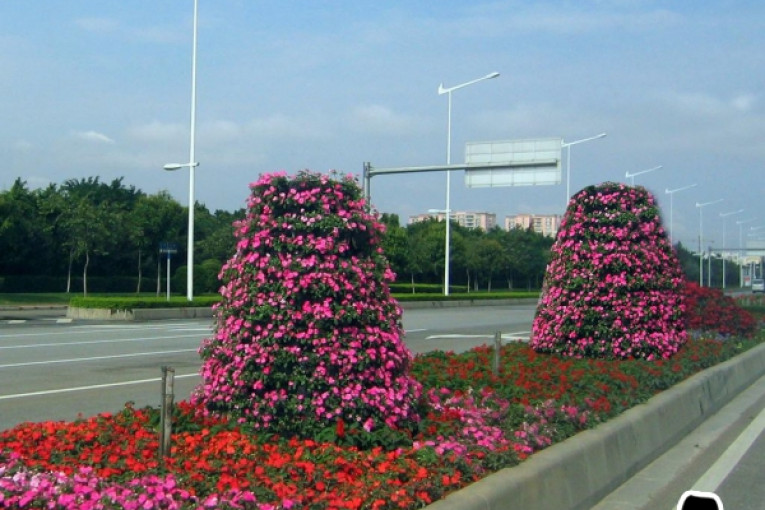 گلدان های تزئینی فضای شهر و پارک